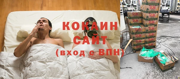 прущие крисы Алзамай