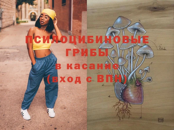 прущие крисы Алзамай