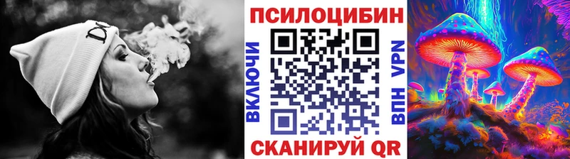это как зайти  Оса  Галлюциногенные грибы GOLDEN TEACHER 