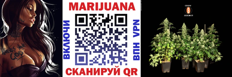 Бошки Шишки планчик наркотики Оса